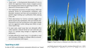 Tweet card summary image
