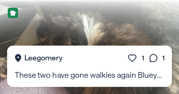 Tweet card summary image