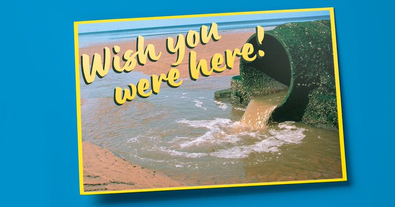 Tweet card summary image