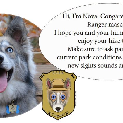 Tweet card summary image