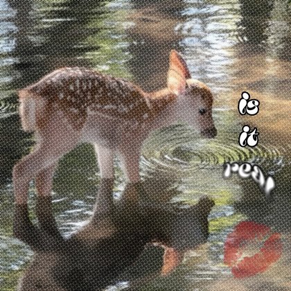 Tweet card summary image