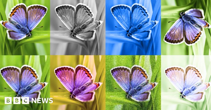 Tweet card summary image