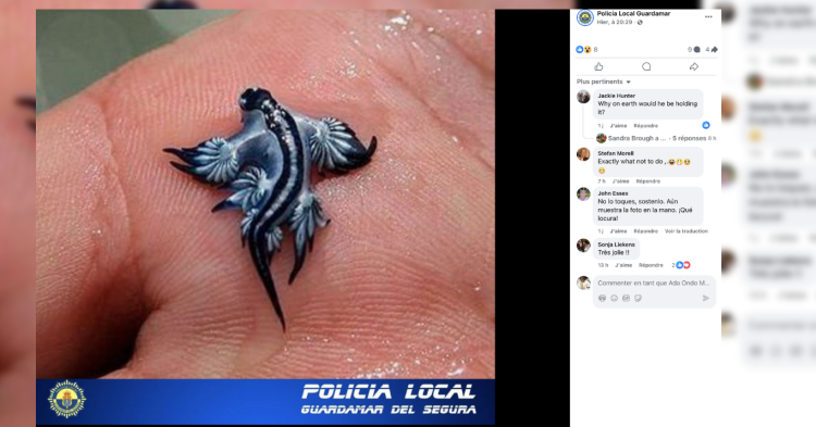 Tweet card summary image