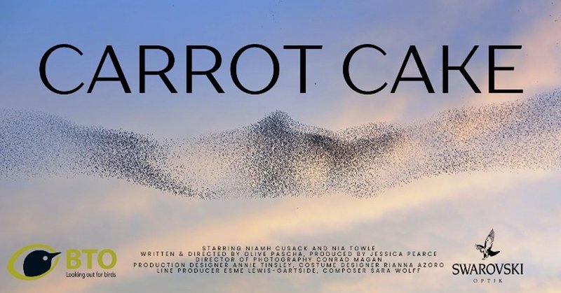 Tweet card summary image