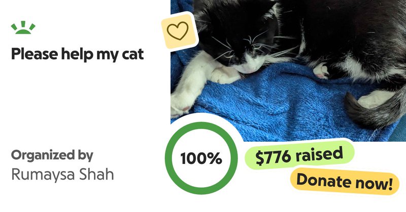 Tweet card summary image
