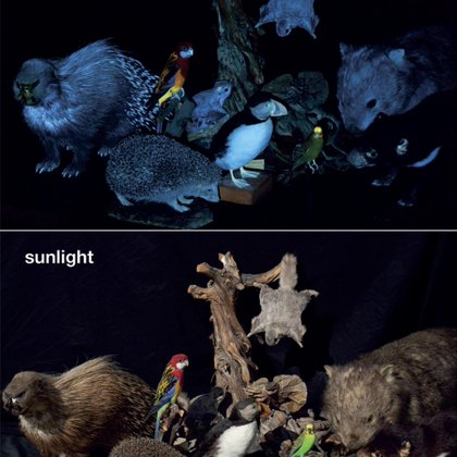 Tweet card summary image