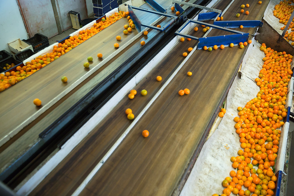 JettyPest's tweet card. Protect your food supply with Jetty Pest's pest management!