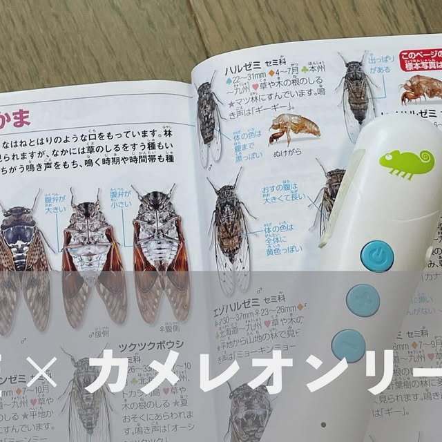 カメレオンリーダー　スターターセット カメレオンリーダー スターターセット 製品 | Chameleon Reader