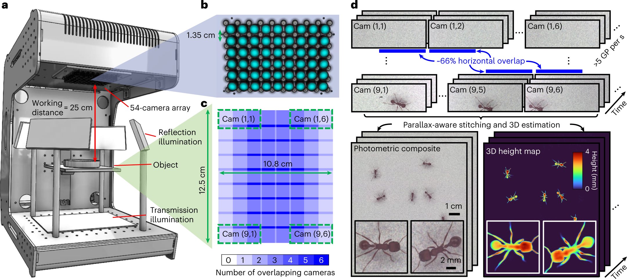 DynamicsLiving's tweet card. Nature Photonics - 3D-RAPID, a scalable computational microscope using 54 cameras, records 3D topographic videos of freely moving organisms over an area of 135 cm2 at a spatial resolution of...