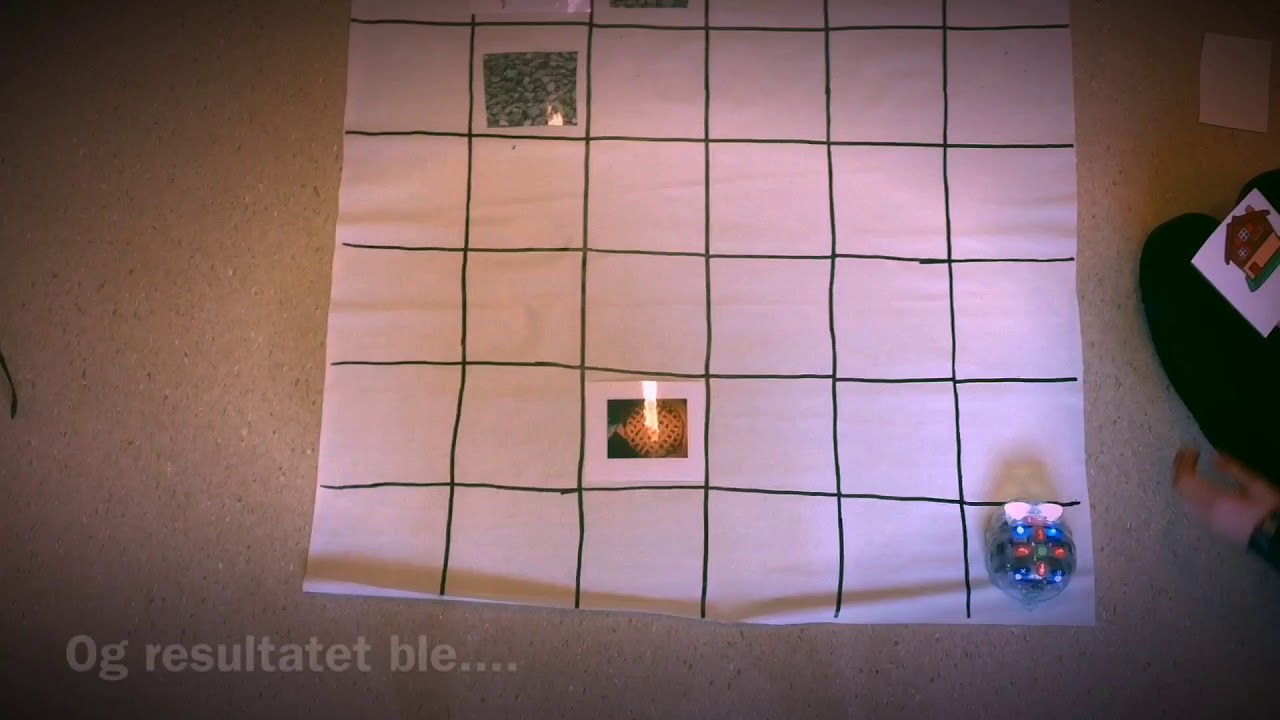stighalv's tweet card. Programmering av Blue-Bot i undervisningen.