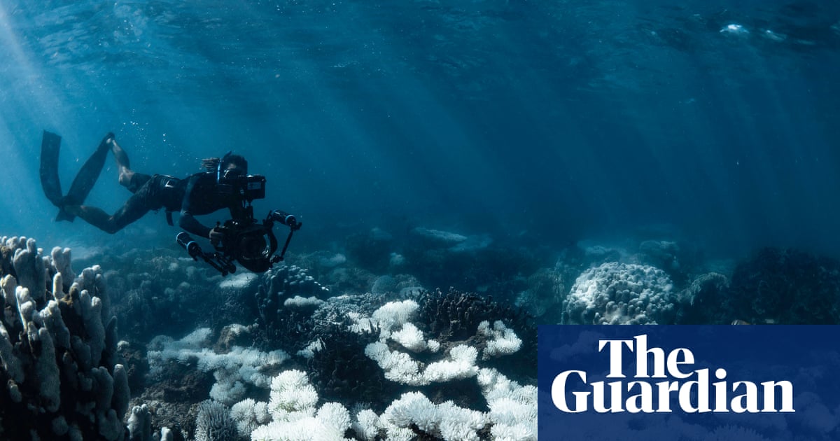 PIK_Climate's tweet card. Scientists call for renewed global effort to curb fossil fuels as seven of nine planetary boundaries now transgressed