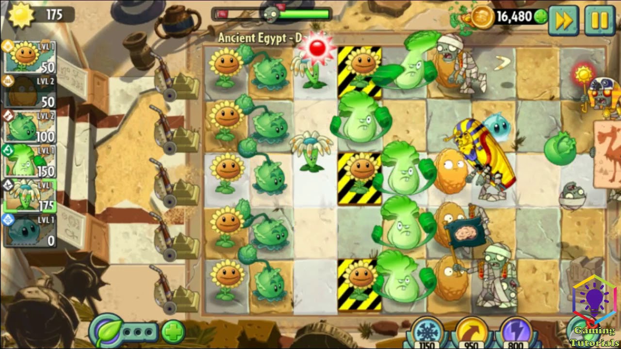 gamingtutorial5's tweet card. Plants vs Zombies 2 Ancient Egypt Day 15