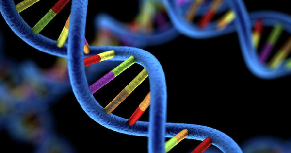 CloudLIMS's tweet card. CloudLIMS' modern LIMS for genomics labs streamlines and automates workflows of genomics labs, genetic and molecular biology labs while ensuring compliance. Book a demo of our genomics LIMS today!