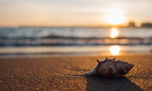 value_addition's tweet card. It’s tough enough to be an innovative startup. For medical device startups, there's the added burden of operating in a highly-regulated industry.