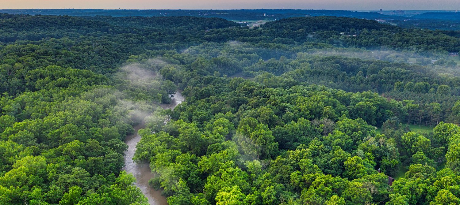 Cygnus360's tweet card. From the Amazon to the Congo River Basin, the Earth's rainforests are nearing a dangerous tipping point – add your name to fight for their protection.