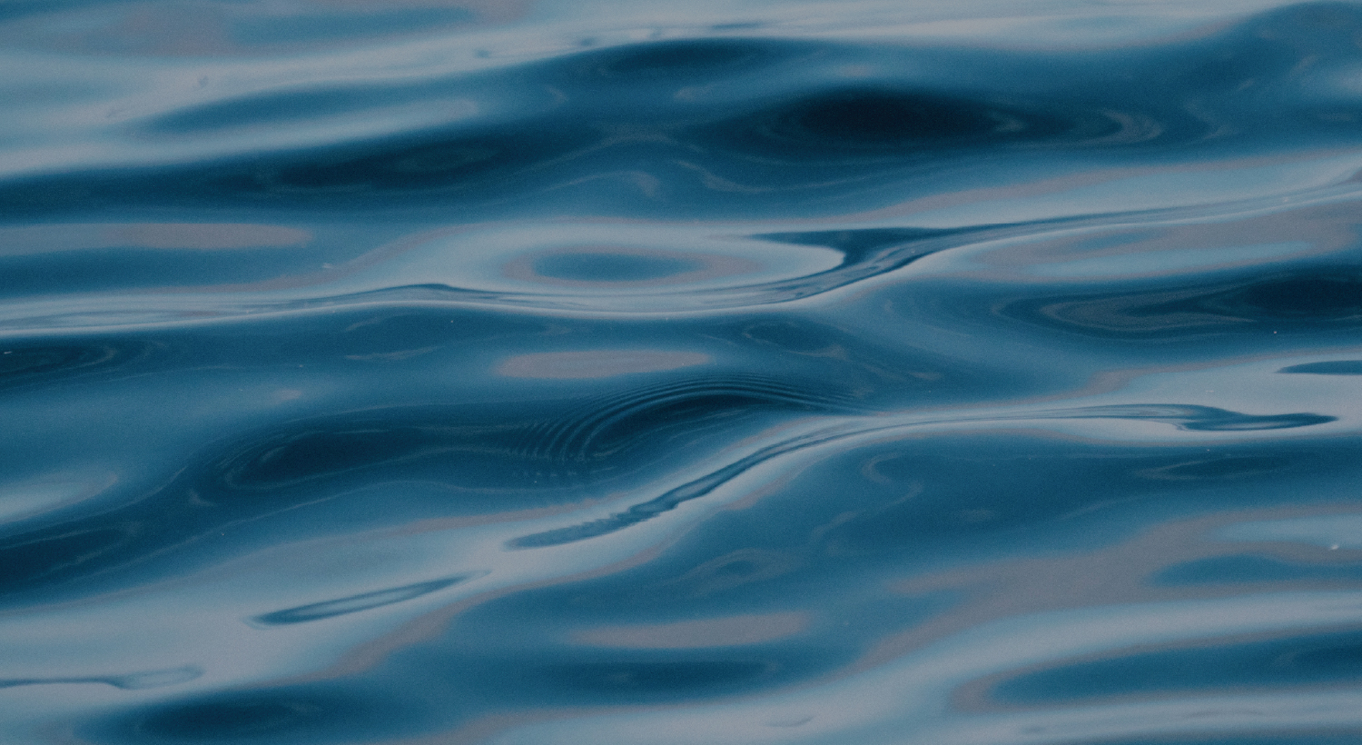 Null0perator's tweet card. God makes Himself known to us in ways we don’t always see.