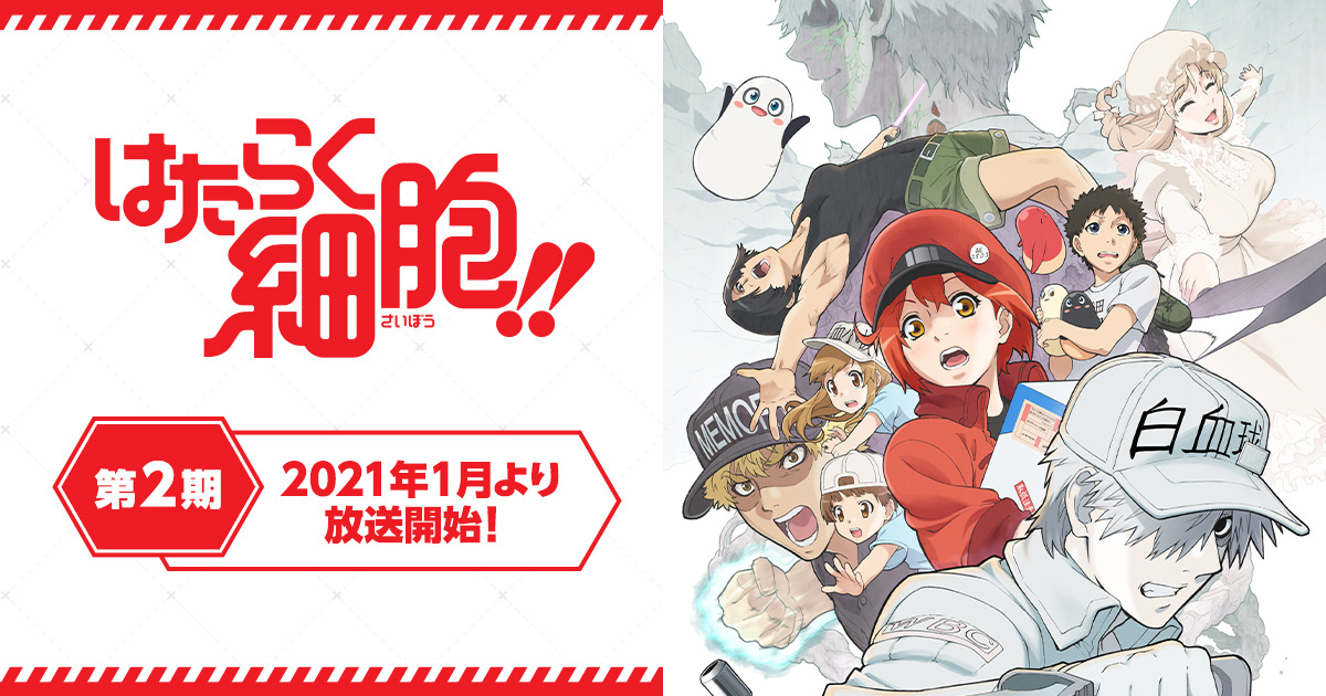NU_GS_Science's tweet card. またみんなに会える。体内細胞擬人化アニメ第二期、開幕!TVアニメ「はたらく細胞!!」2021年1月放送開始!!
