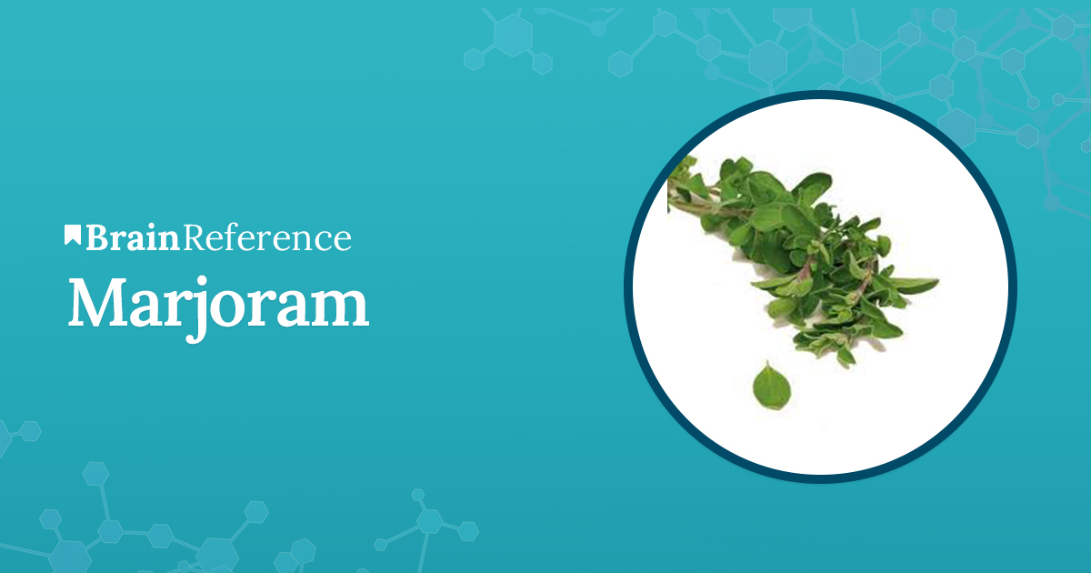 brainreference's tweet card. What is Marjoram? Read more about the functions, benefits, and side effects of Marjoram in this in-depth guide.