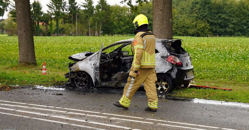 Auto botst tegen boom en vliegt in brand in Roggel