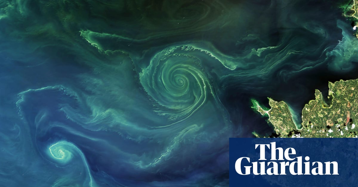 GreenProgress's tweet card. The sudden collapse of carbon sinks was not factored into climate models – and could rapidly accelerate global heating