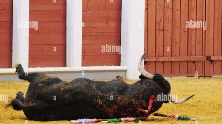 Gabrielle0111's tweet card. Halt Travel Agencies from Organizing Trips to Bullfights