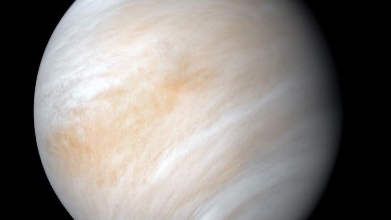cpp_science's tweet card. Researchers’ detection of two gases, phosphine and ammonia, in the clouds of Venus raises speculation about possible life forms in the planet’s atmosphere.