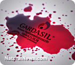 notebooking_hs's tweet card. Gardasil genetic fingerprints found in postmortem samples of girls given vaccine