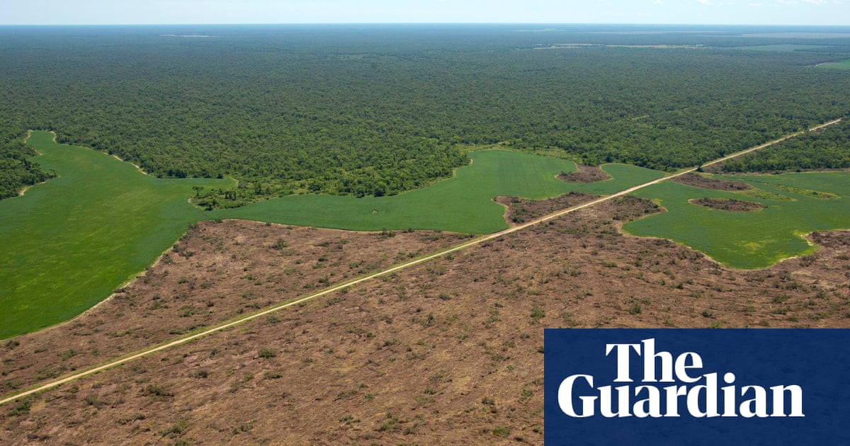 joejoebo2's tweet card. In 2024, the Spanish bank provided more than $600m in financing to firms linked to beef, palm oil, soya and supply chains driving deforestation, says Global Witness