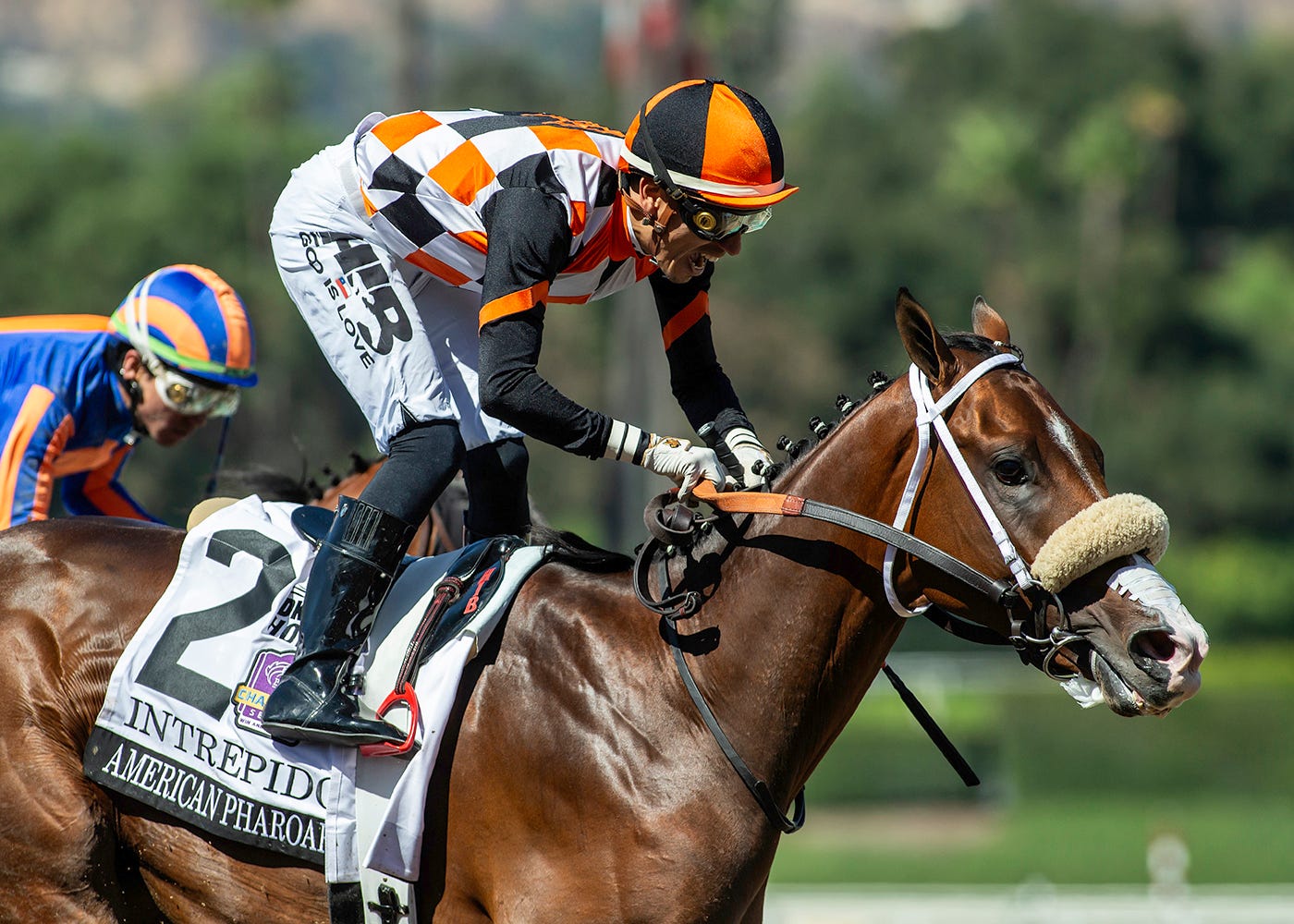 DailyRacingForm's tweet card. The closest California trainer Jeff Mullins has come to winning a Breeders’ Cup race with 11 career starters was a second-place finish by Wild Fit in the 2005 Juvenile Fillies at Belmont Park.