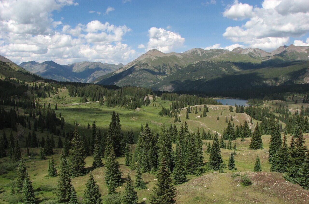 AgathoniaMedia's tweet card. A new study from the University of North Carolina at Chapel Hill shows that insect populations are rapidly declining even in relatively undisturbed landscapes, raising concerns about the health of...
