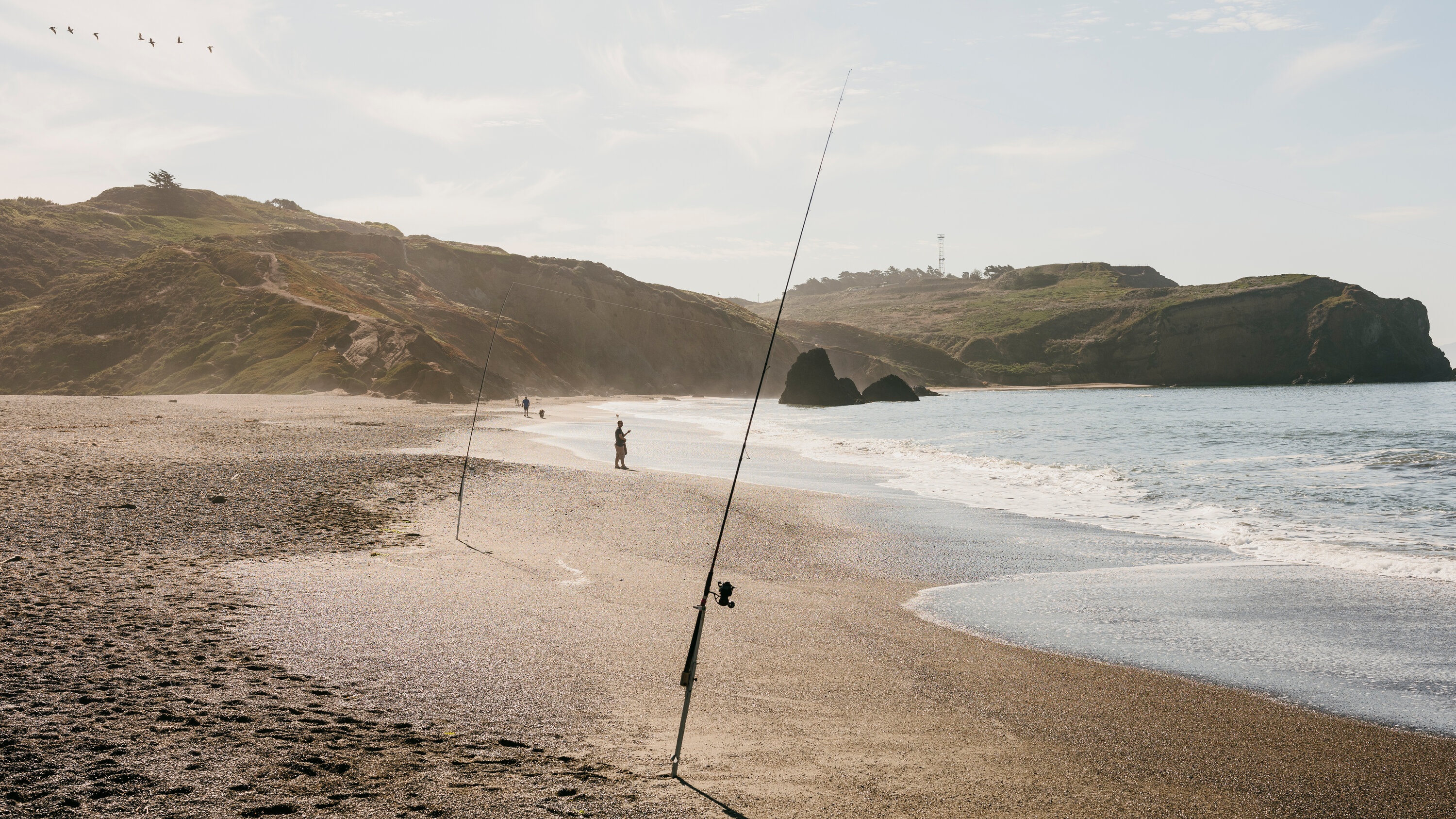 nytclimate's tweet card. An extreme heat wave off California’s coast seemed like an anomaly 10 years ago. But as the ocean warms, the catastrophe may be a glimpse of the future.