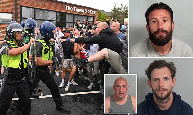 GarethDavies007's tweet card. Essex Police estimated around 500 protesters attended at the height of the incident on July 17, with a flat bed van carrying a sign that said 'protect our kids'.