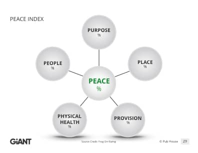 MMitchellBlitch's tweet card. What is your Peace Index?