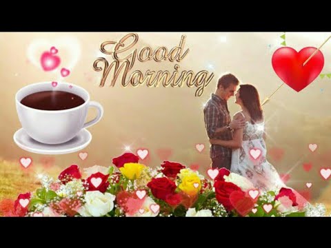 RoopchandraSha3's tweet card. GOOD MORNING video