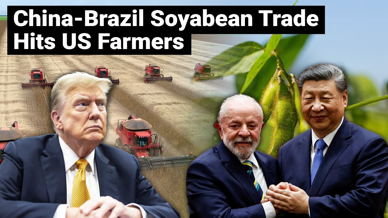 amitsengupta01's tweet card. China Brazil Soybean Trade Hits US Farmers