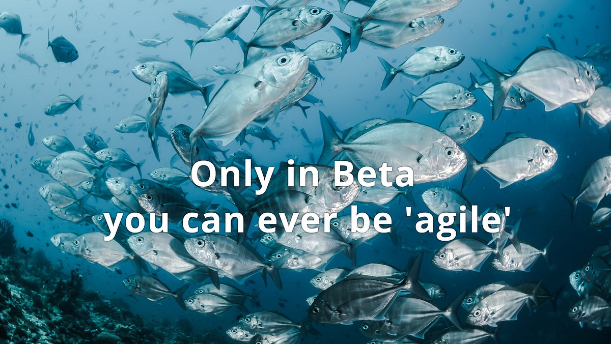 BirgitMallow's tweet card. If you want adaptive organizations you need to go for serious decentralization and consistent functional integration.