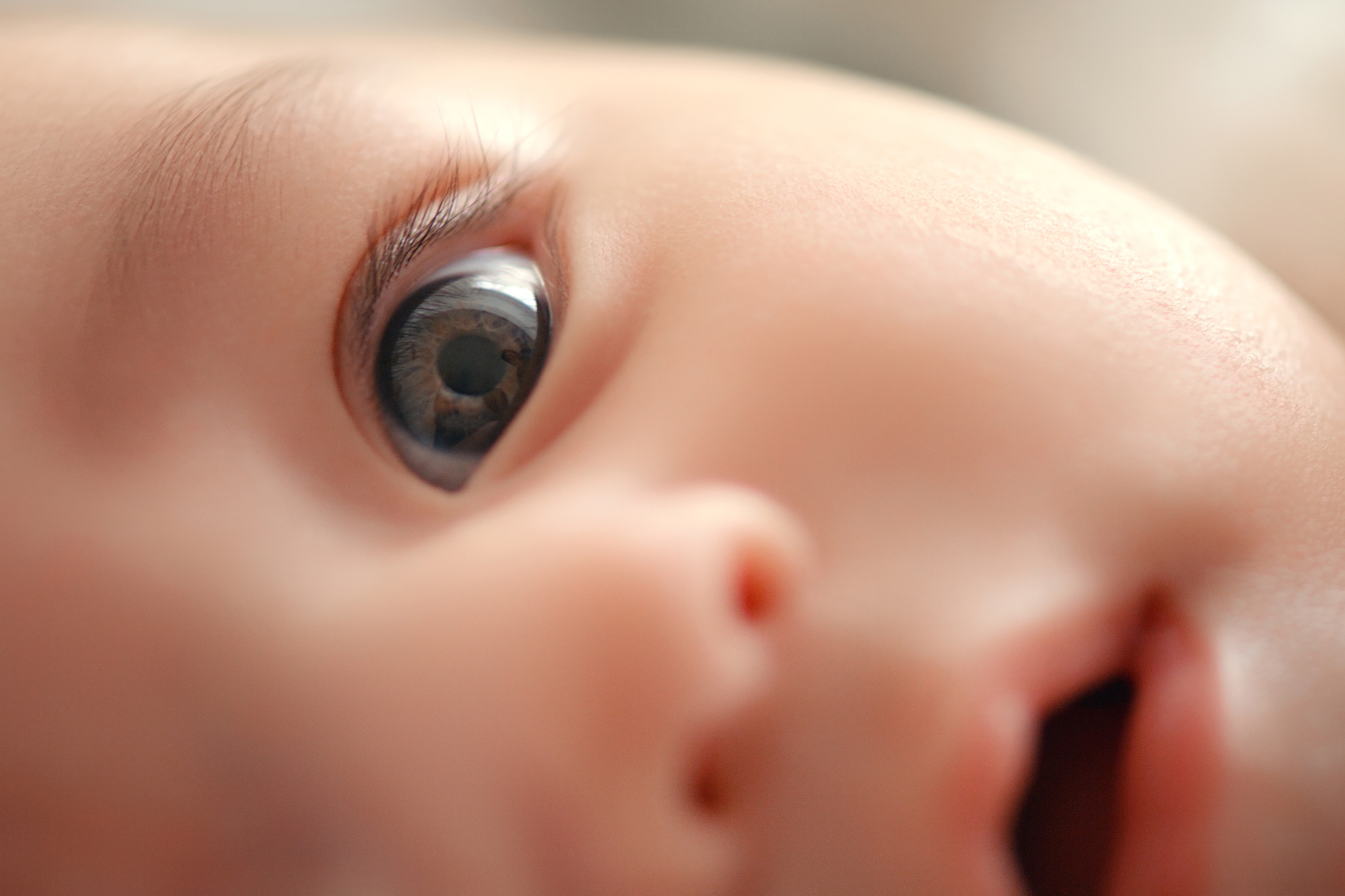 mitbrainandcog's tweet card. MIT researchers found that low-quality visual input early in life may contribute to the development of key pathways in the brain’s visual system.