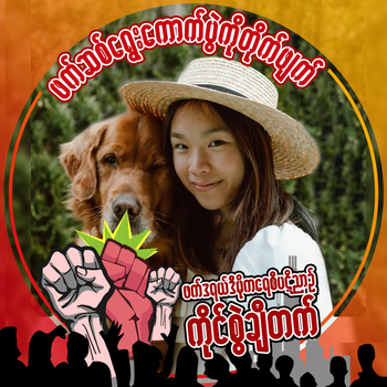 bloggernpl's tweet card. We strongly oppose the SAC's illegal Sham Election. We already had our own road map, Federal Democracy Charter and our own Goal , Federal Democracy Union.