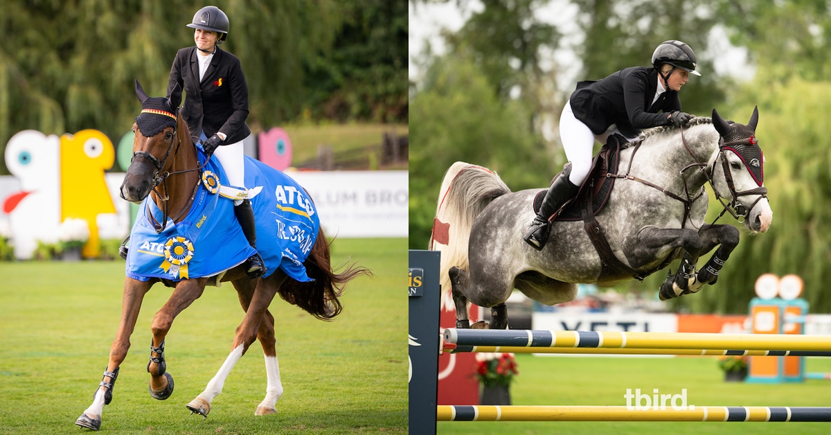 HorseSport_mag's tweet card. Tiffany Foster and Electrique win the ATCO Cup 1.50m Grand Prix; Carly Stevens and Springsteen rock the Solaris U25.