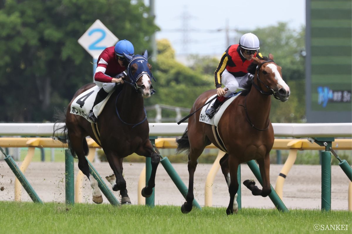keiba_ch2024's tweet card. 秋の牝馬頂上決戦であるエリザベス女王杯の前哨戦・アイルランドトロフィー。本記事では、今週末に行われる同レースを前に、有力馬の実力を3つの観点から分析する。「実績」「適性」「騎手」を評価軸とし、それぞれを【1～10】のスコアでランク付け。さらに、有力馬ごとの評価一覧表を掲載し、各馬の強みと不安要素を整理して紹介する。