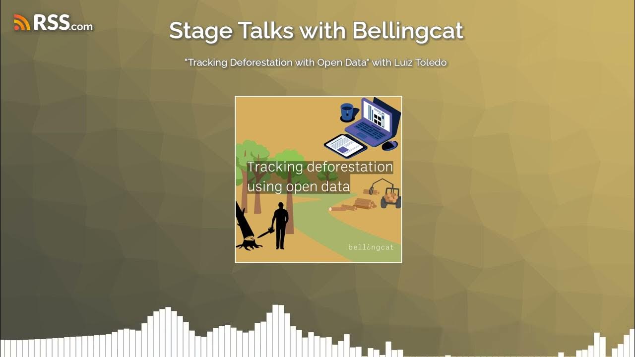 bellingcat's tweet card. “Tracking Deforestation with Open Data” with Luiz Toledo