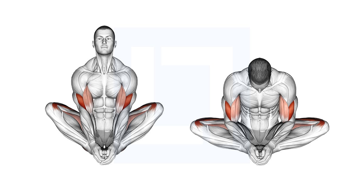 LiftManual's tweet card. Read our butterfly yoga pose guide. Learn how to do this exercise, the muscles worked, and the main benefits.