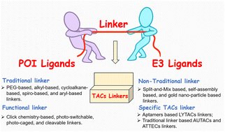 Glaconde34's tweet card. Targeting chimeras (TACs), such as PROTACs, LYTACs, AUTACs, and ATTECs, have emerged as promising strategies for selectively degrading proteins, including undruggable targets. These approaches...