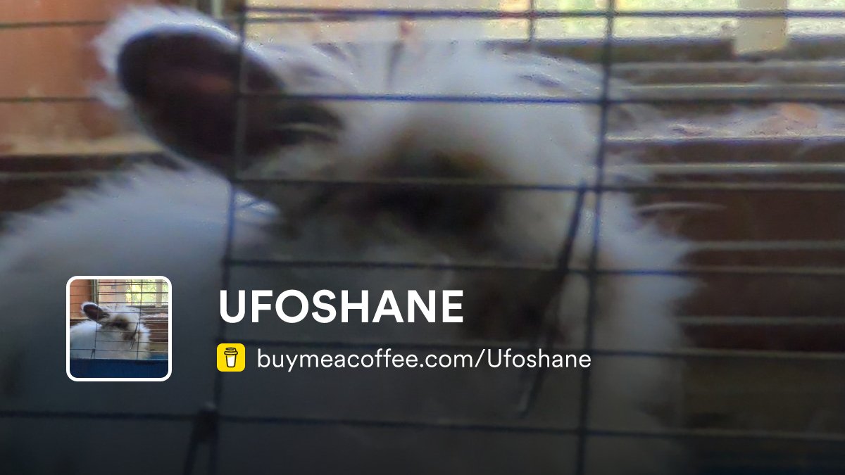 TurtleOfTime12's tweet card. Thank you for showing support for gas money and rabbit food!