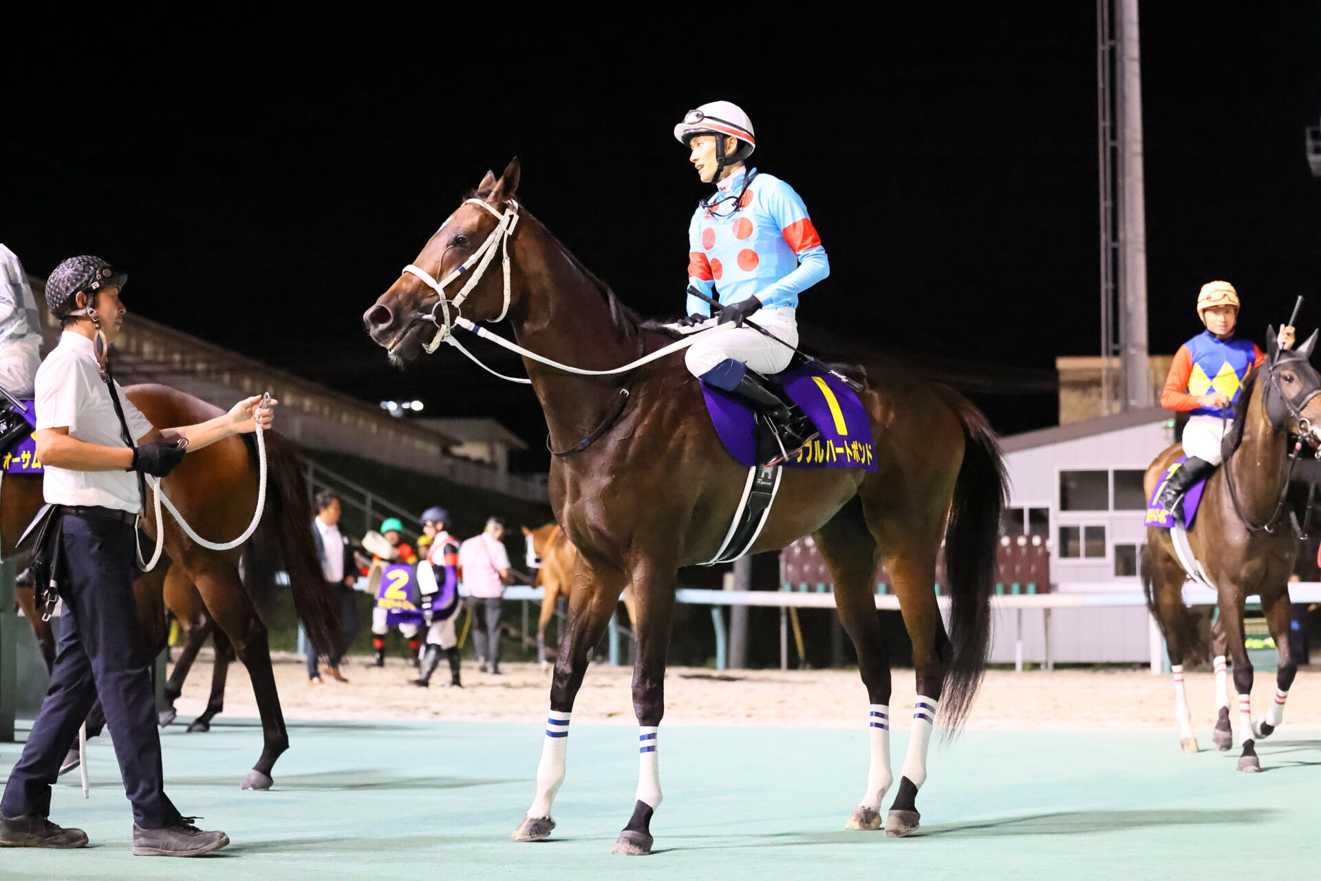 keibanaofficial's tweet card. 初心者に優しい競馬ニュースメディア、競馬のおはなし！結果速報や騎手、装蹄師のコラムを掲載。初心者向けの簡単な予想も。