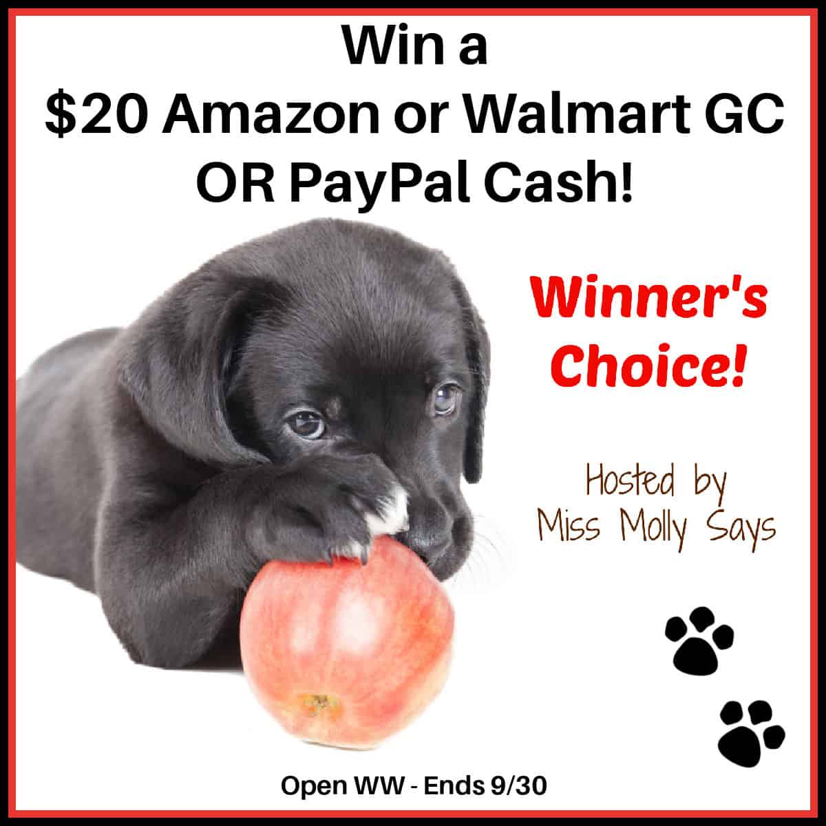mood_reader's tweet card. Who's ready for a fun giveaway? Enter for a chance to win a $20 Walmart or Amazon GC OR PayPal Cash! Winners Choice!