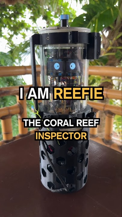 TheSearchLife's tweet card. Reefie - the coral reef inspector. A day on duty..