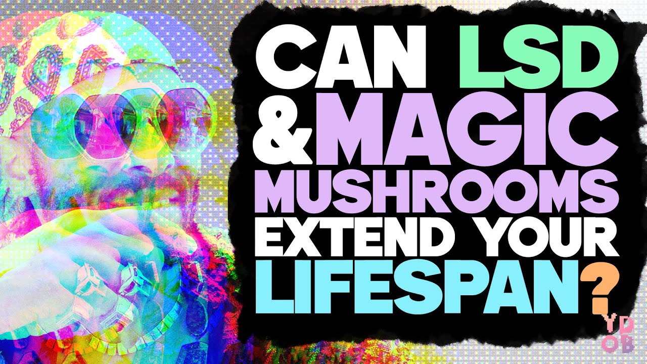 tipado's tweet card. Can LSD and Magic Mushrooms EXTEND your lifespan?!