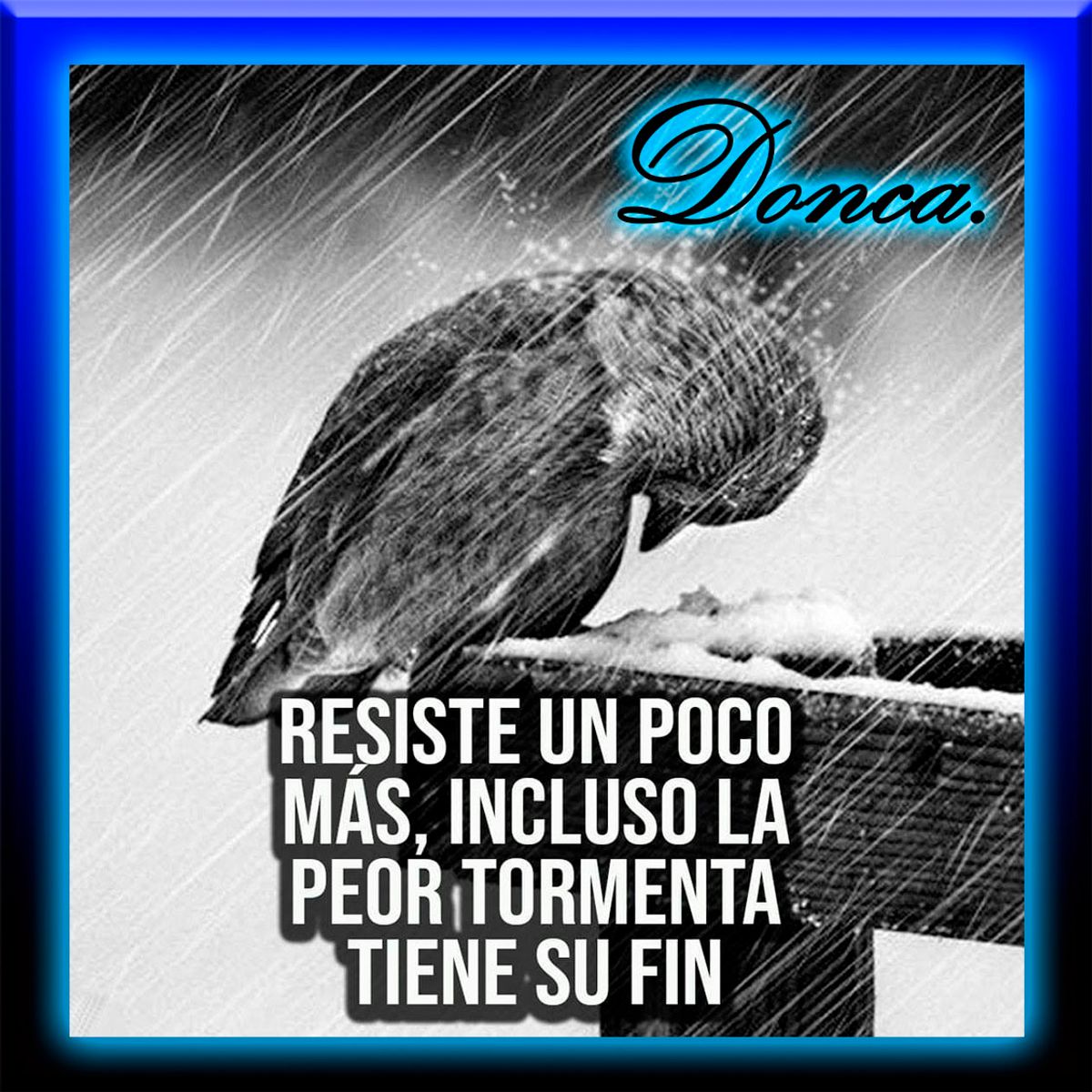 DoncaSolutions's tweet card. Post by DONCAFÉ
