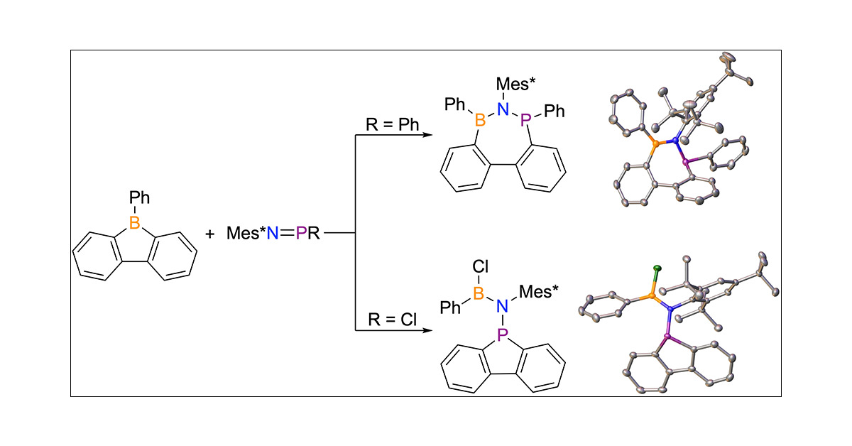 MartinGroupBU's tweet card. The reactions of iminophosphines (Mes*N=PR, Mes* = 2,4,6-tri-tert-butylphenyl) with 9-phenyl-9-borafluorene resulted in the isolation of two distinct products. For an iminophosphine bearing a phenyl...